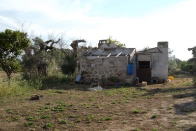 Casa rurale in campagna tra Matino e Gallipoli in vendita