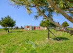 Ampio terreno con progetto approvato a Racale