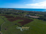 DJI_0382_csp