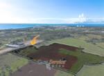 DJI_0383_csp