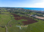 DJI_0386_csp