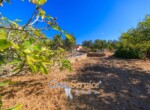 IMG_4413-HDR