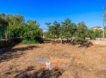 IMG_4424-HDR