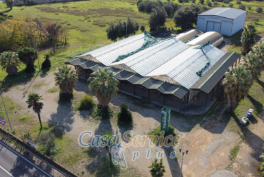 Azienda agricola con annesso locale commerciale