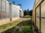 _DSF0477